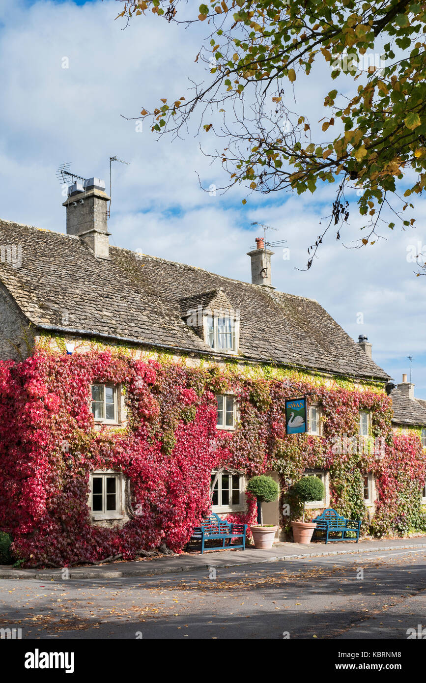 Du Parthenocissus tricuspidata. Boston ivy / réducteur japonais couvrant les murs de la Swan Country Inn à Southrop. Cotswolds, Gloucestershire, Angleterre Banque D'Images