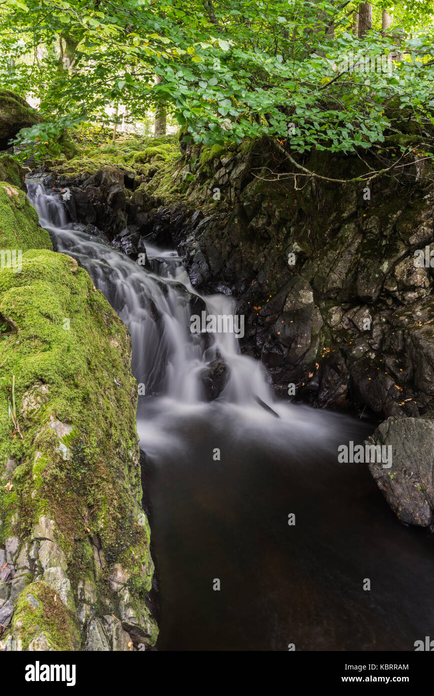 Un flux dans le lakeland english lake district national park l'eau qui coule dans le réservoir de thirlmere en Cumbria, Angleterre, Royaume-Uni Banque D'Images