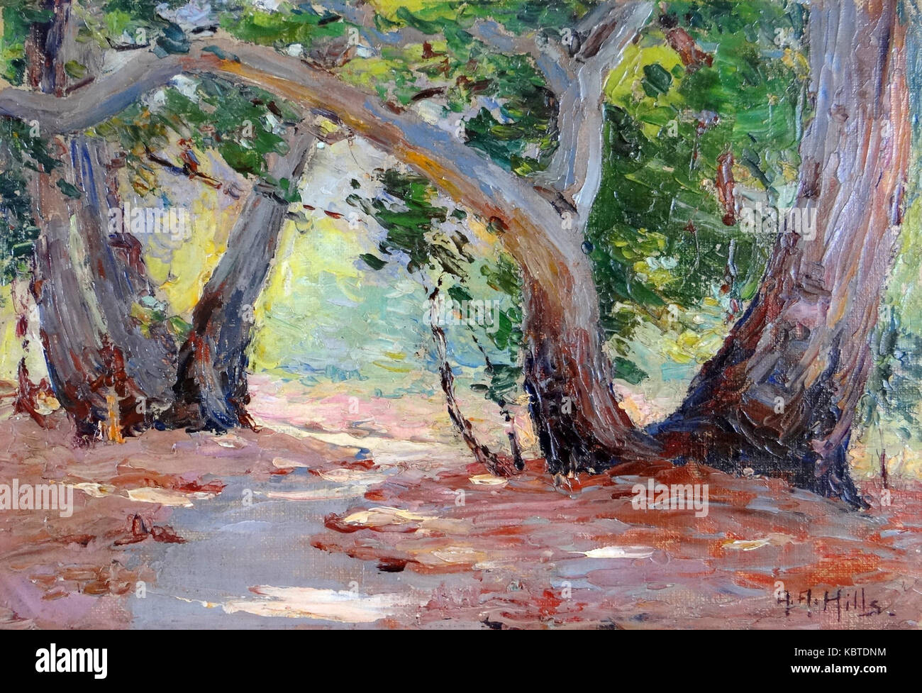 'Sunshine & Shadow Orange Co. Park, California' est une peinture d'Anna Althea Hills de 1915, représentant un paysage dans le comté d'Orange, Californie, mettant en valeur la beauté naturelle et les contrastes de lumière. Banque D'Images