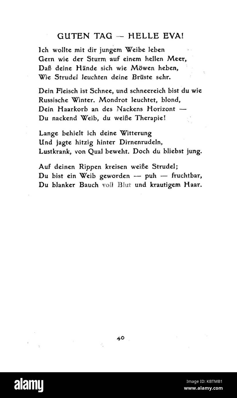 De Boldt Junge Pferde 40 Banque D'Images