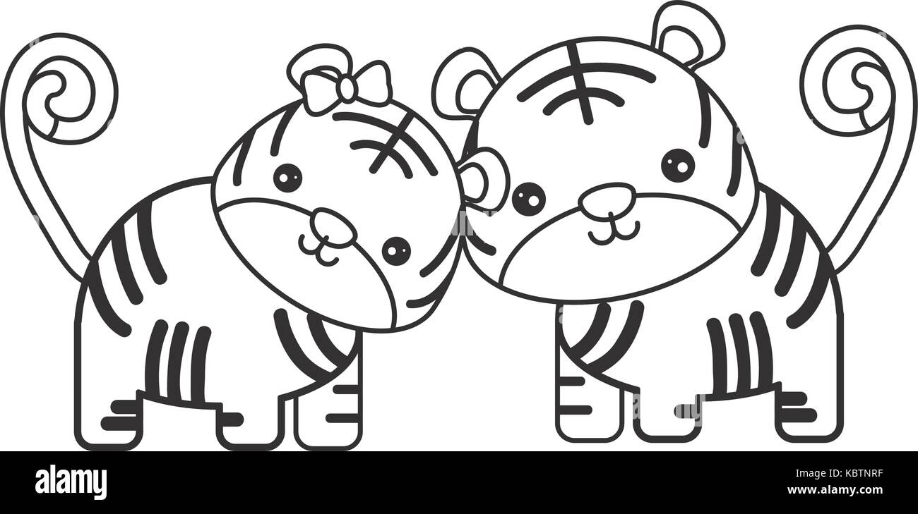 Joli couple de tigres icône sur fond blanc vector illustration Illustration de Vecteur