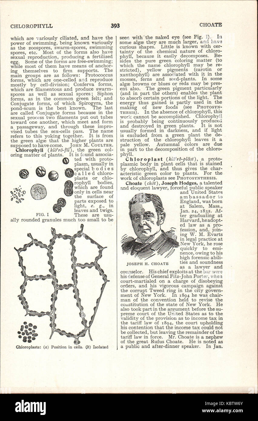 Cette image fait référence à un élément historique nommé LA2 NSRW 1 0455. Les détails suggèrent un élément d'archives ou photographique spécifique ayant une importance historique. Banque D'Images Cette image fait référence à un élément historique nommé LA2 NSRW 1 0455. Les détails suggèrent un élément d'archives ou photographique spécifique ayant une importance historique. Banque D'Images