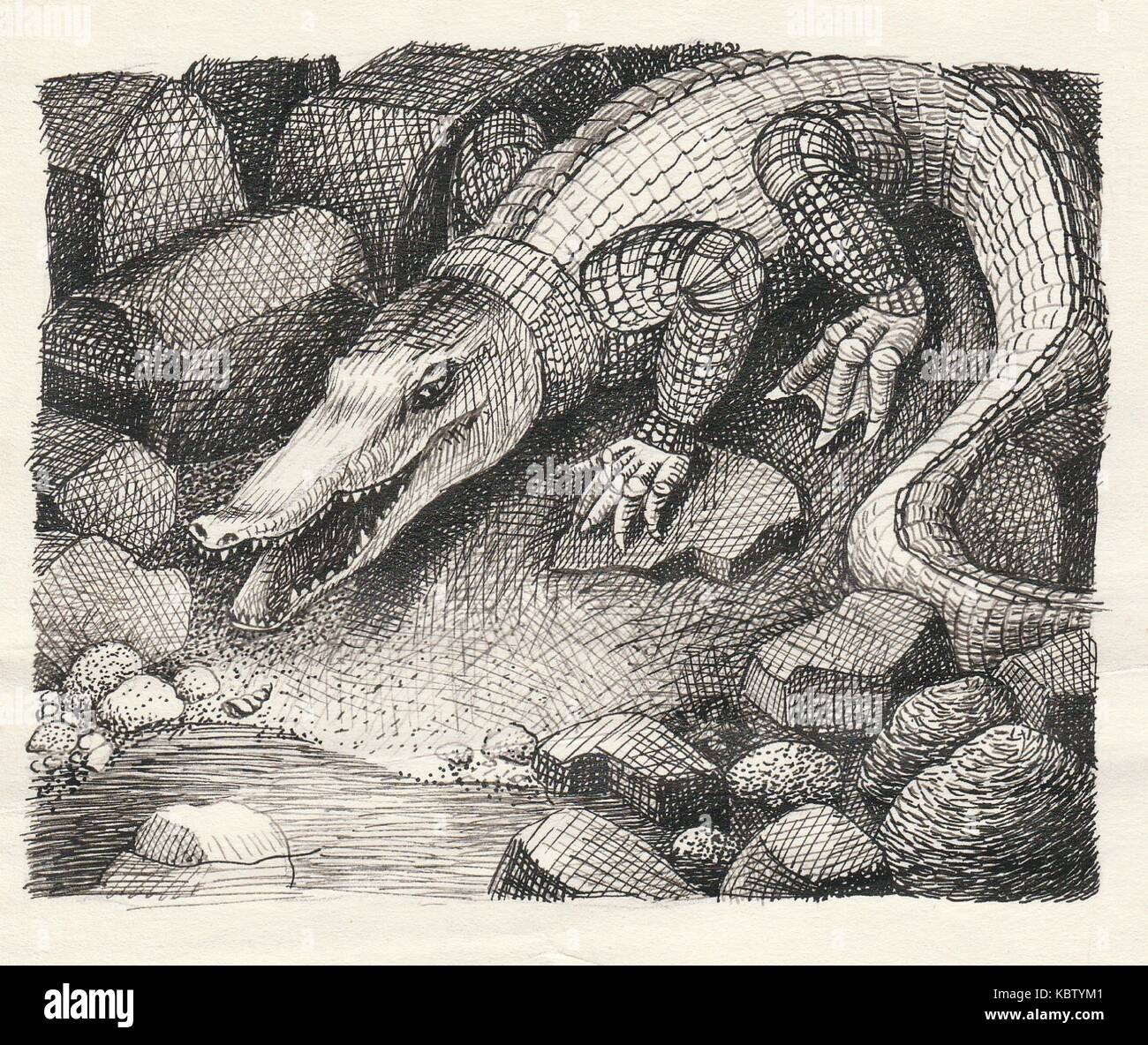 KROKKKKKKKKKO schwarz-weiss Illustration de Vecteur