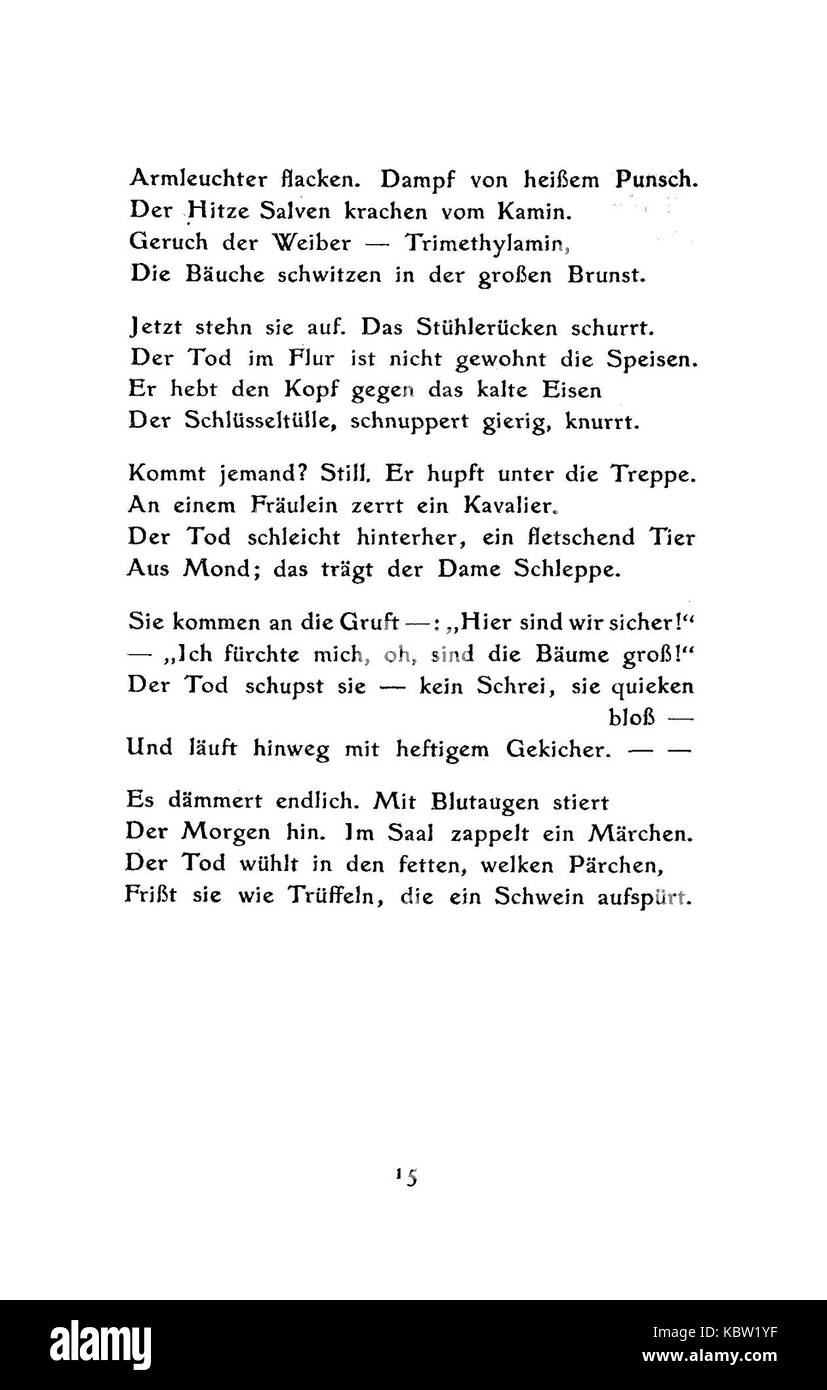 De Boldt Junge Pferde 15 Banque D'Images