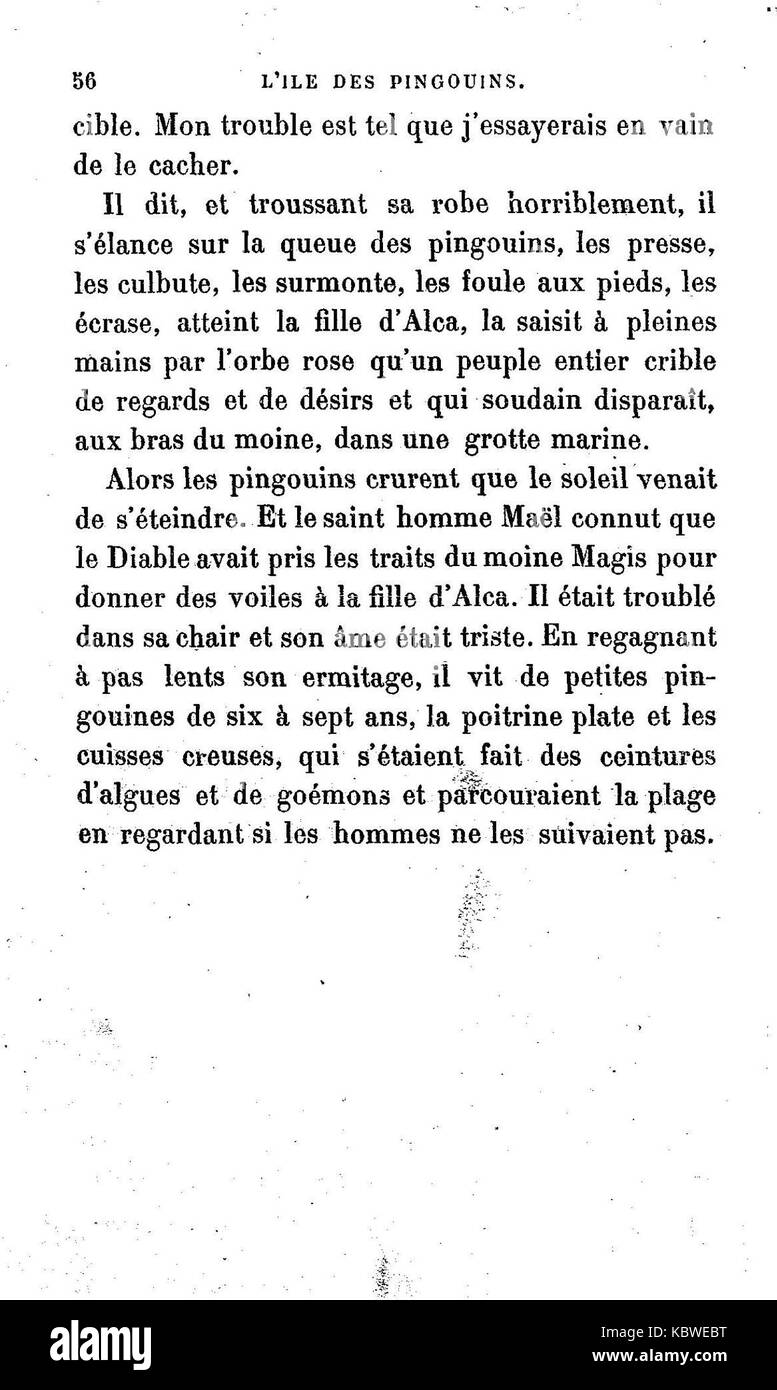L'Iledespingouins056 Banque D'Images