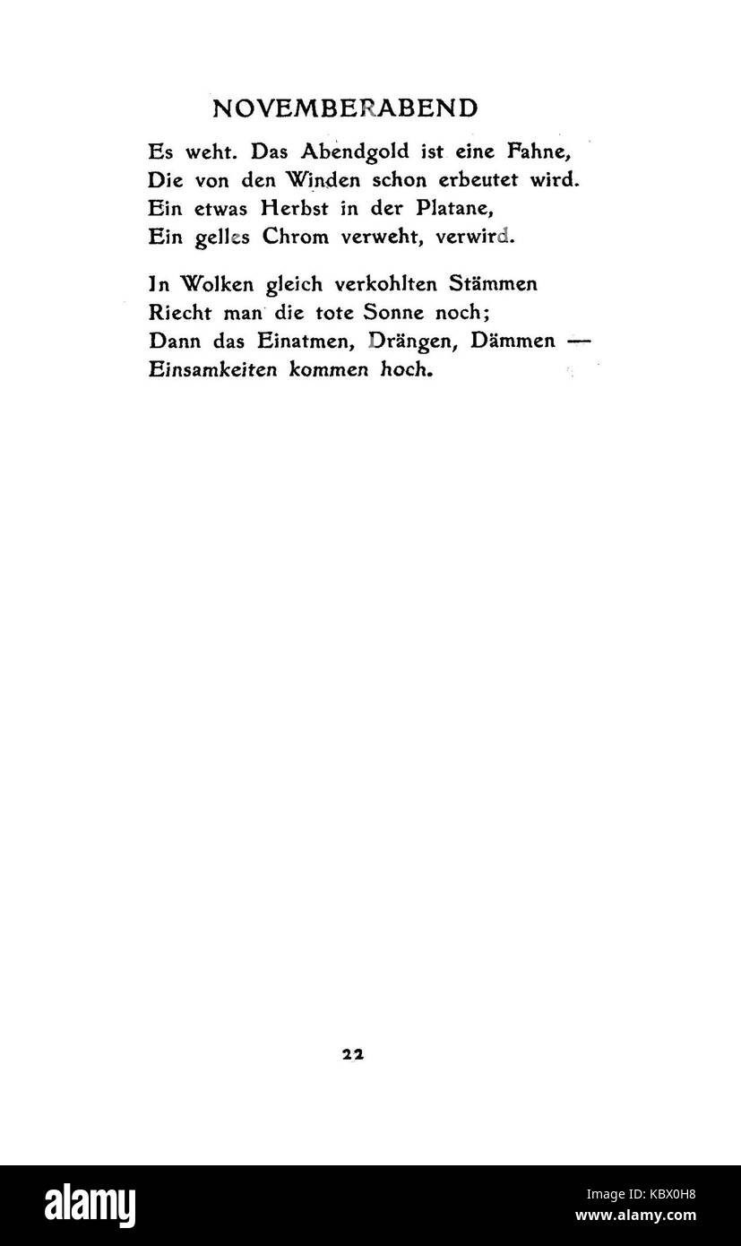 De Boldt Junge Pferde 22 Banque D'Images