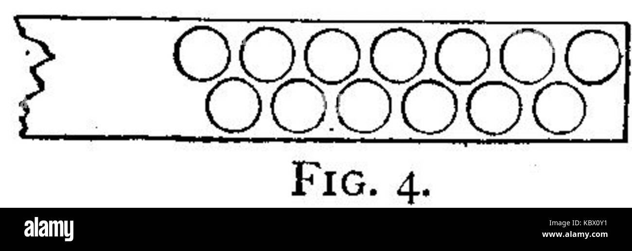 Fig 4 menthe Banque D'Images