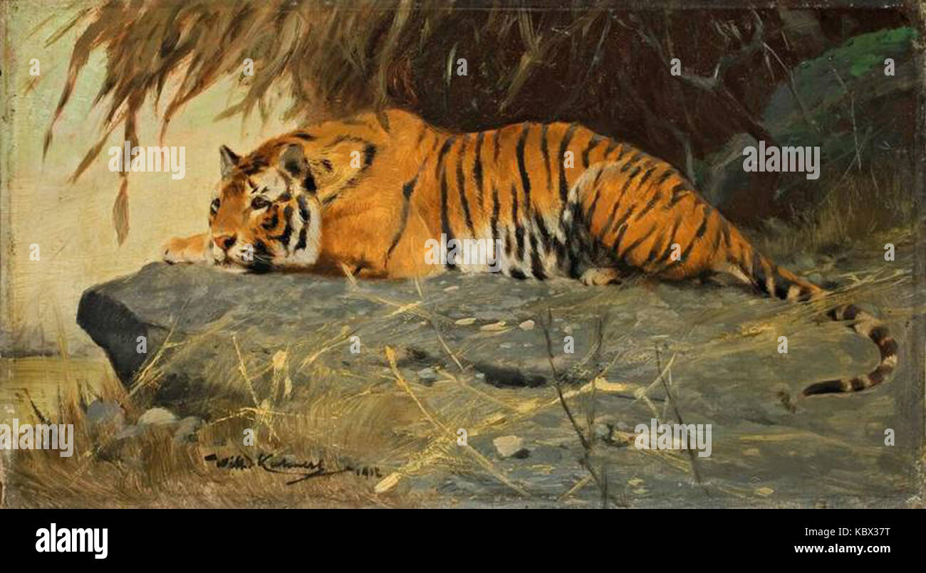 Le tigre de Kuhnert est une illustration détaillée d'un tigre, créée par l'artiste Robert Kuhnert. Connue pour sa précision, l'œuvre d'art capture l'essence sauvage et la force de l'animal dans son habitat naturel. Banque D'Images