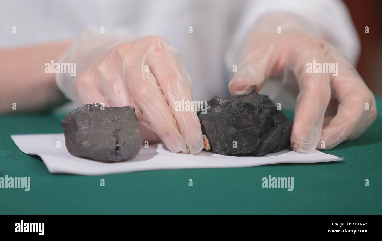 Les mains dans les gants d'hommes tenant le charbon. scientifique avec un échantillon de charbon. charbon noir dans la main de mineur Banque D'Images