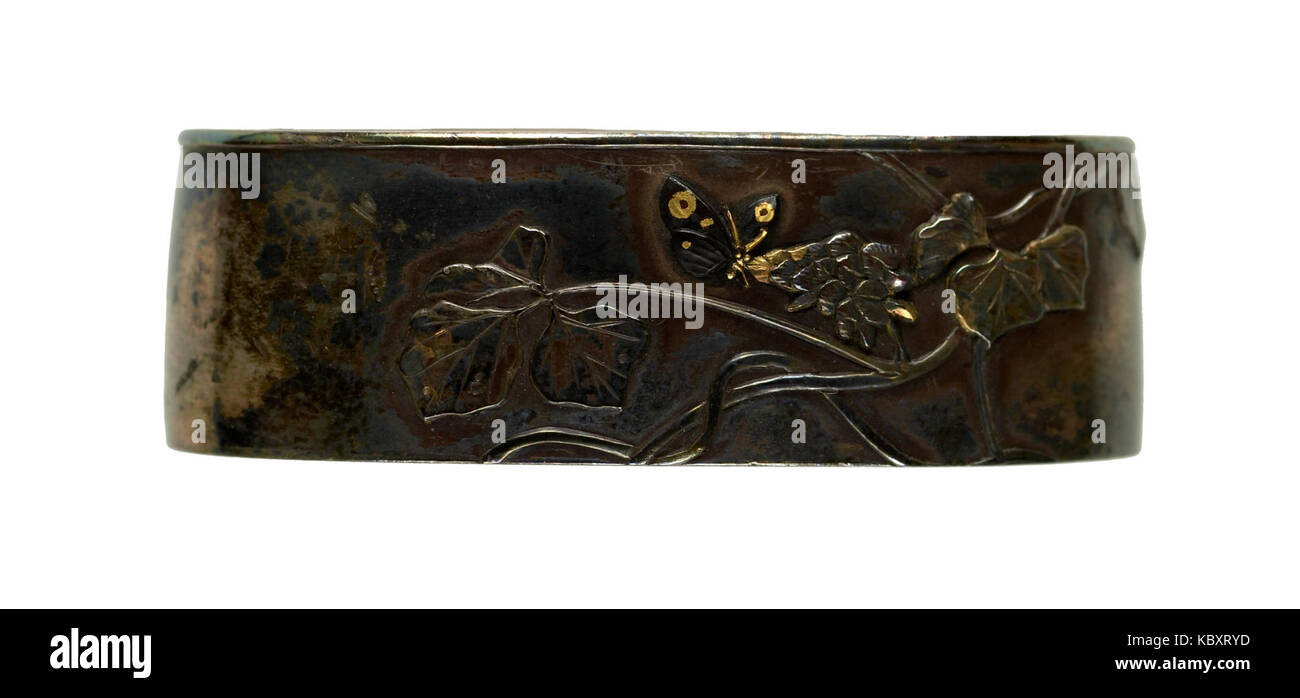 Tsukuda Hideaki Fuchi avec papillon à l'arrowroot et Walters 5111913a Banque D'Images