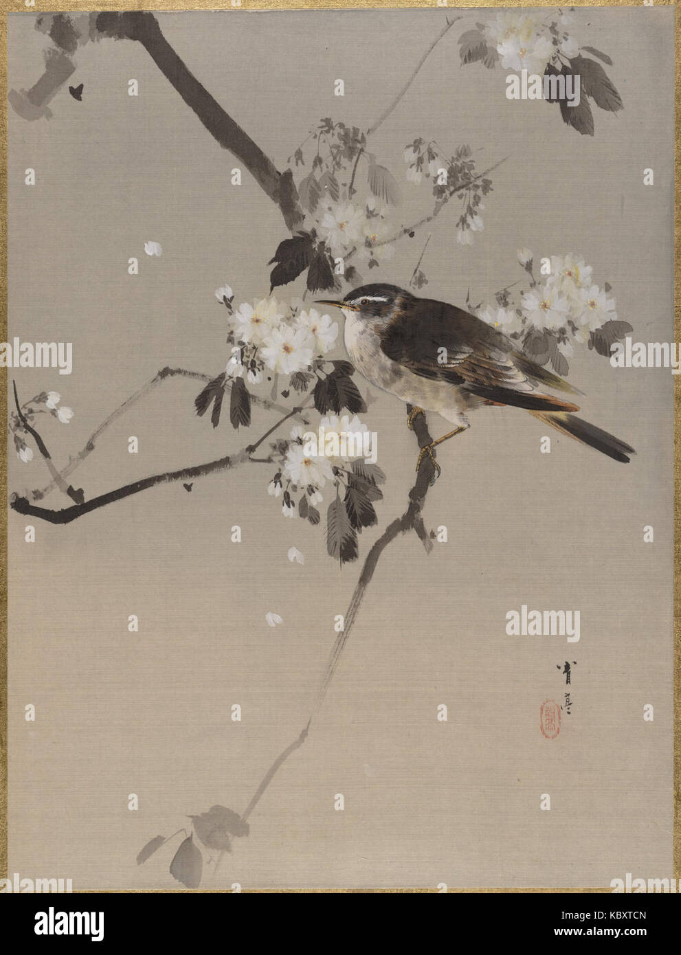 Watanabe Seitei oiseau sur un rameau en fleurs Banque D'Images Watanabe Seitei oiseau sur un rameau en fleurs Banque D'Images