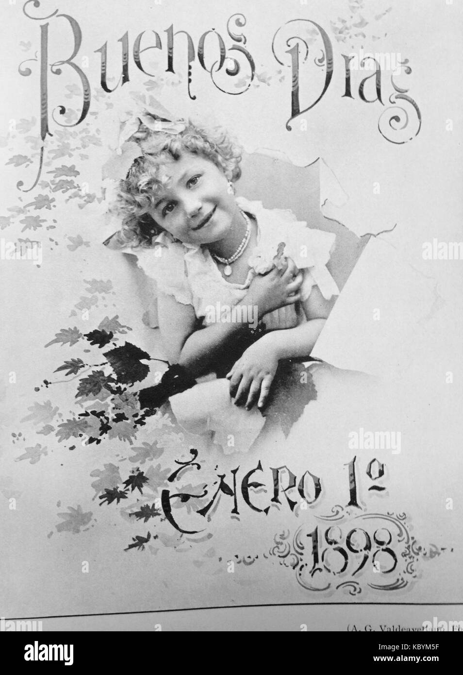 Cette photographie historique de 1898 capture Ano Nuevo, un lieu important en Californie. L'image souligne la beauté naturelle de la région et son importance en tant que site pour la faune, en particulier les éléphants de mer. Banque D'Images