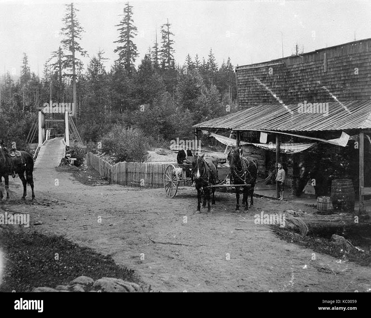 Pont sur la rivière Elbe en montrant de chariot tiré par des chevaux en face de store, août 1903 (SARVANT 57) Banque D'Images