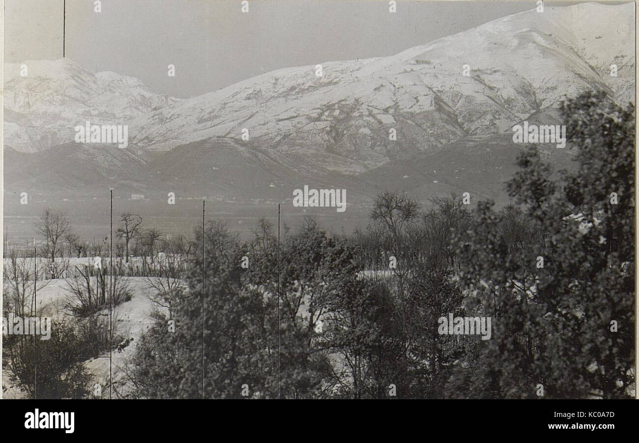 Cette image de la série 'Kriegsalbum 93', une collection de photographies documentant la première Guerre mondiale, fournit un compte rendu visuel de l'impact et des événements de la guerre. L'image fait partie d'une archive historique présentant l'histoire militaire et la photographie de temps de guerre. Banque D'Images Cette image de la série 'Kriegsalbum 93', une collection de photographies documentant la première Guerre mondiale, fournit un compte rendu visuel de l'impact et des événements de la guerre. L'image fait partie d'une archive historique présentant l'histoire militaire et la photographie de temps de guerre. Banque D'Images