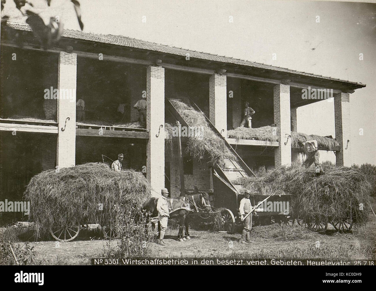 Cette image est un document historique de l'occupation allemande des régions vénitiennes pendant la première Guerre mondiale, daté du 25 juillet 1918. Il concerne l'exploitation des silos agricoles et les activités économiques dans la région pendant la période d'occupation. Banque D'Images