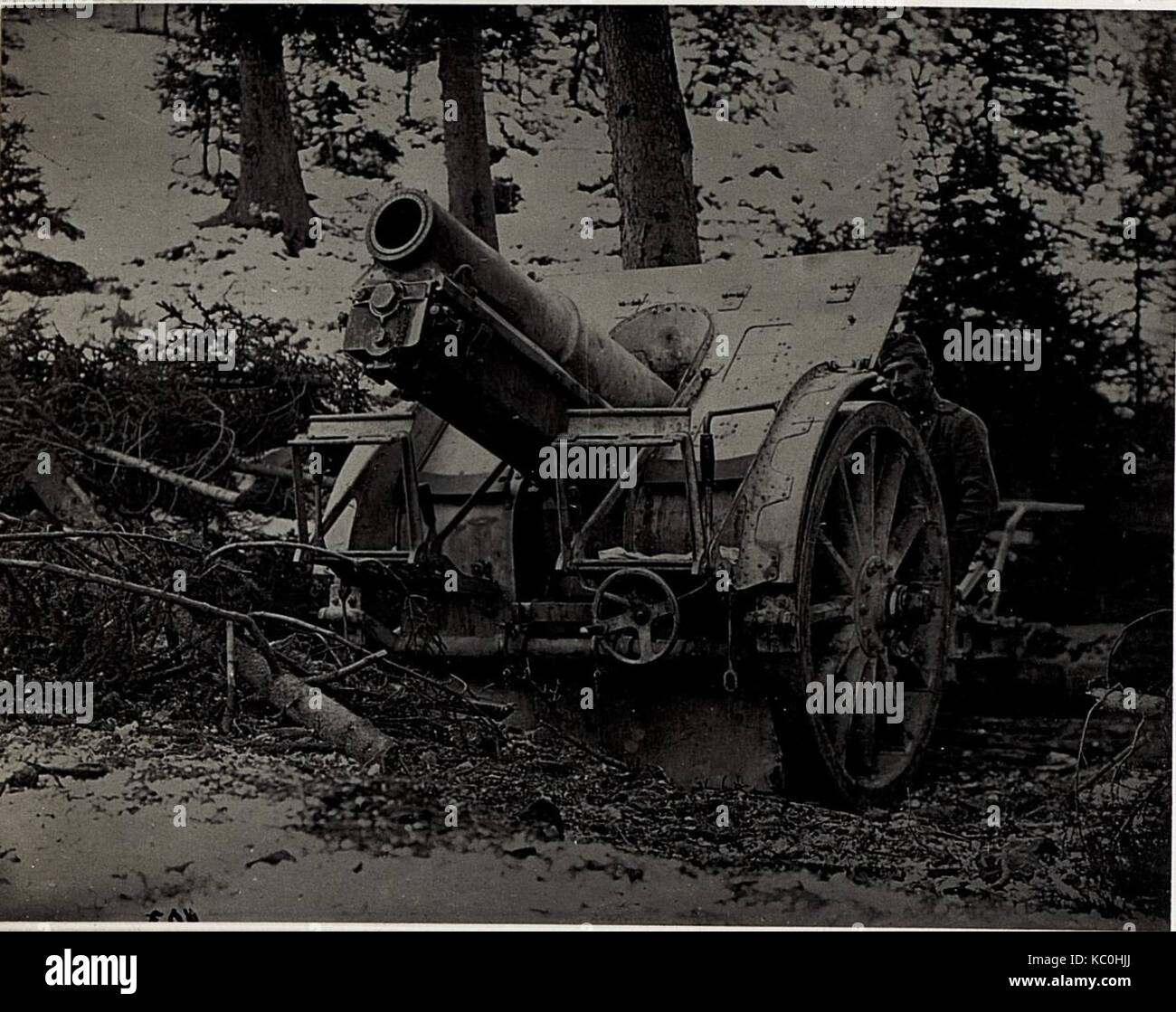 15cm en Arabbastellung Skodahaubitze der. BildID (15579236) Banque D'Images