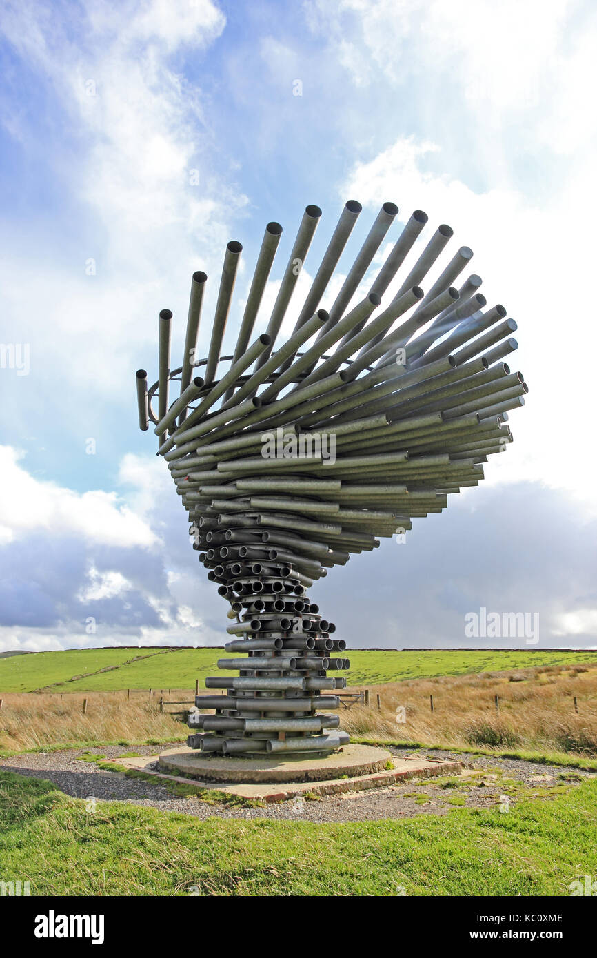 Le chant de la sculpture d'arbres en sonnerie sur une colline donnant sur burnley, Lancashire Banque D'Images