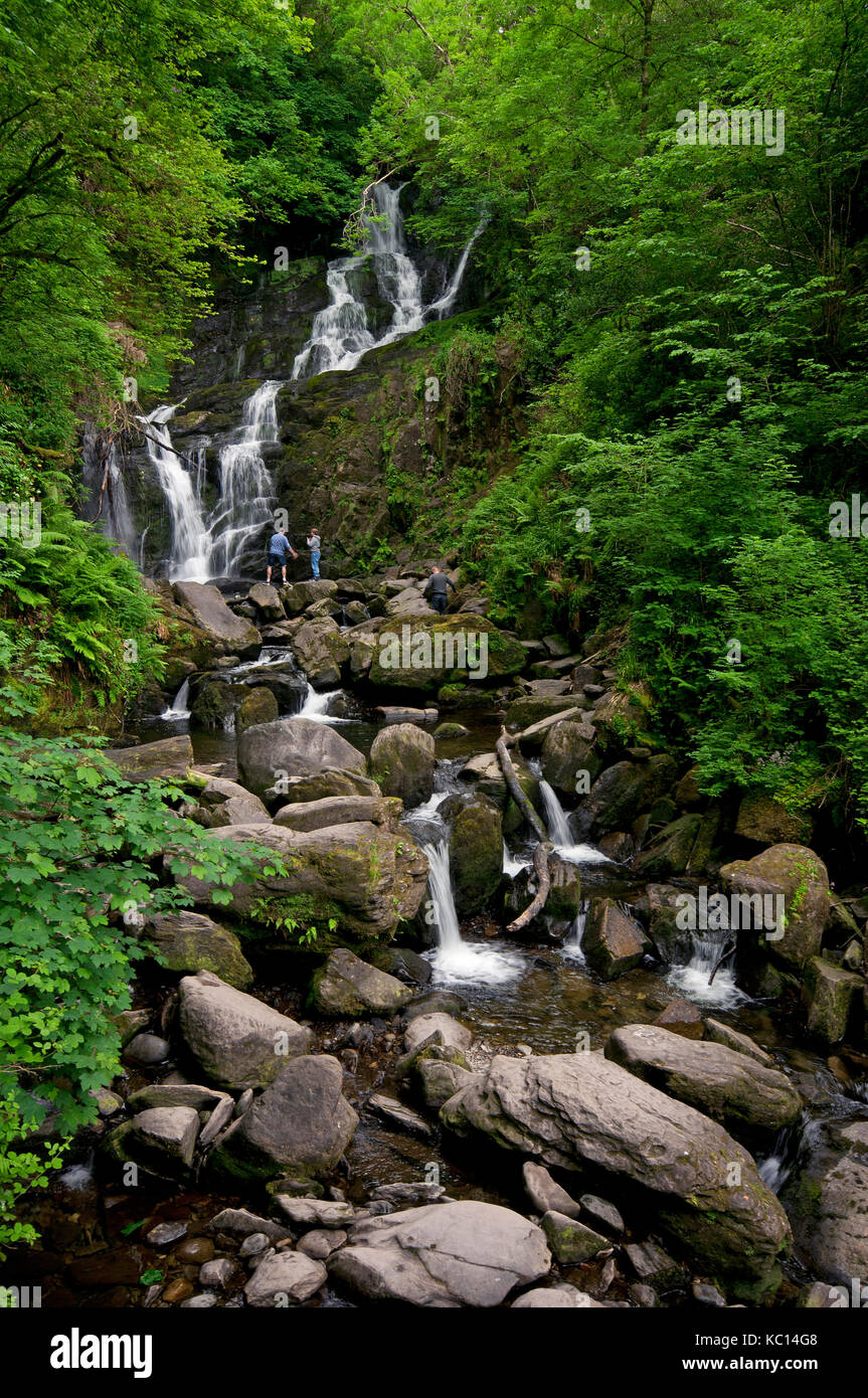 Chutes de Torc, le Parc National de Killarney, comté de Kerry, Irlande Banque D'Images