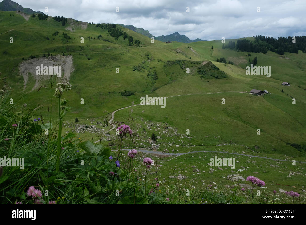 Fermes dans la vallée de barme, tour des dents blanches, alpes Banque D'Images