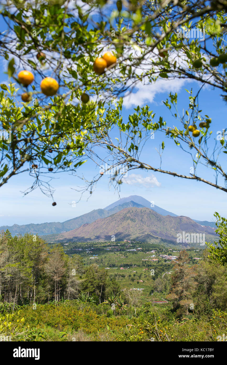 Vue ensoleillée sur la caldeira du volcan Batur à Bali, Indonésie. Banque D'Images