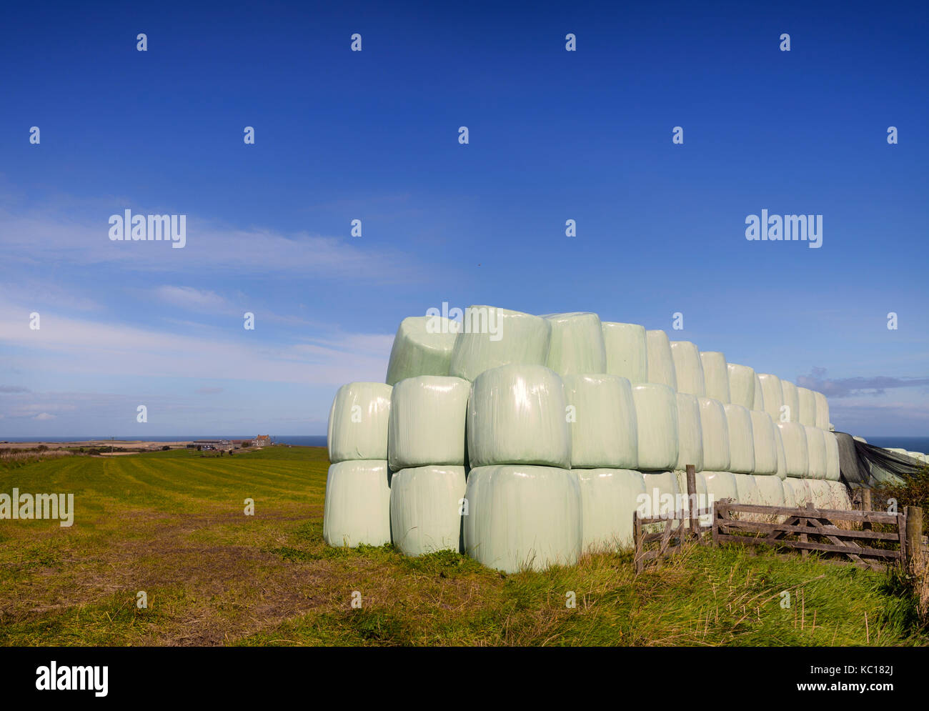 Enveloppés dans du plastique des bottes de paille sur le North Yorkshire et de Cleveland, du littoral du patrimoine de l'angleterre Banque D'Images