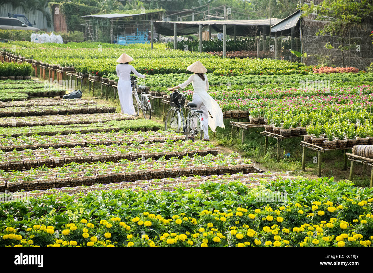 Deux filles de l'école avec l'ao dai (vêtements traditionnels vietnamiens) uniforme dans un jardin à sa dec, Dong Thap, Vietnam. Banque D'Images