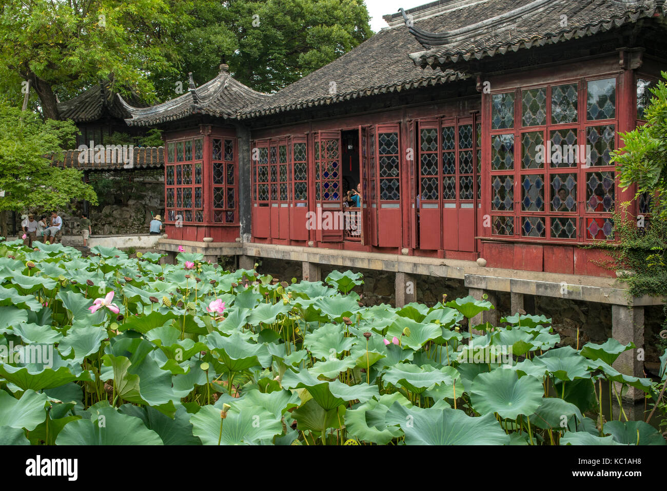 Hall de l'élégance, humble administrator's garden, Suzhou, Chine Banque D'Images