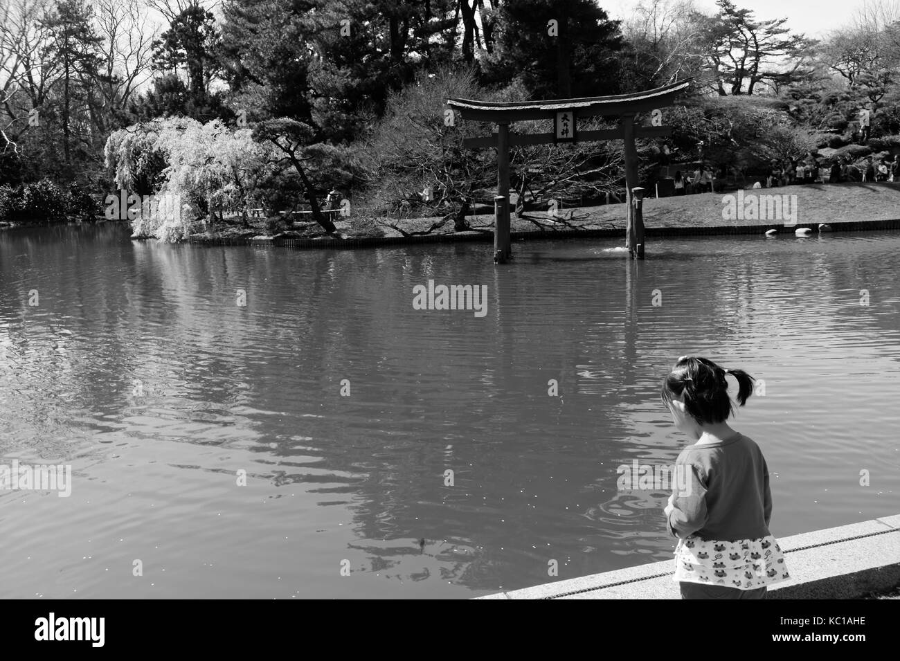 Petite fille en regardant une mare au jardin japonais, Brooklyn botanic gardens. Banque D'Images