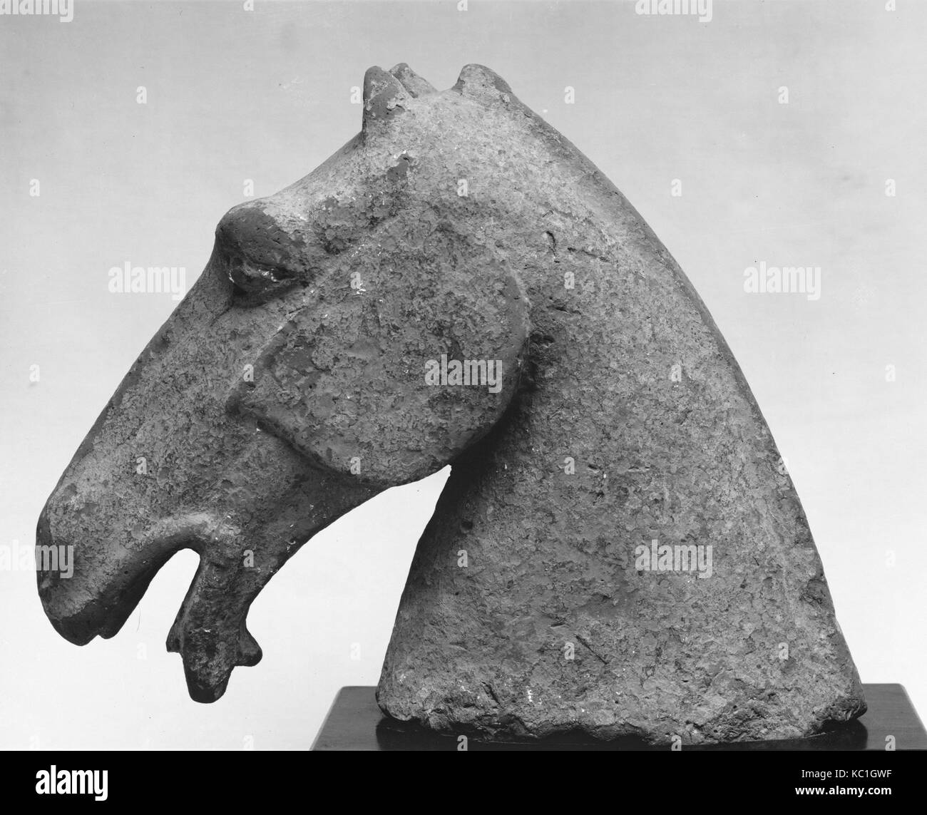 De modèle, tête de cheval, de la dynastie des Han (206 av. J.-A.D. 220), de la Chine, de la Poterie, H. 8 3/4 in. (22,2 cm) ; L. 11 in. (27,9 cm), tombe Banque D'Images