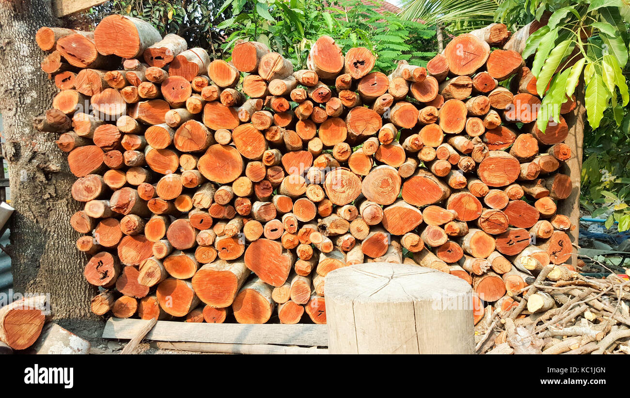 Fond de bois naturel. bois empilés et préparés pour la cuisson et l'hiver. Banque D'Images
