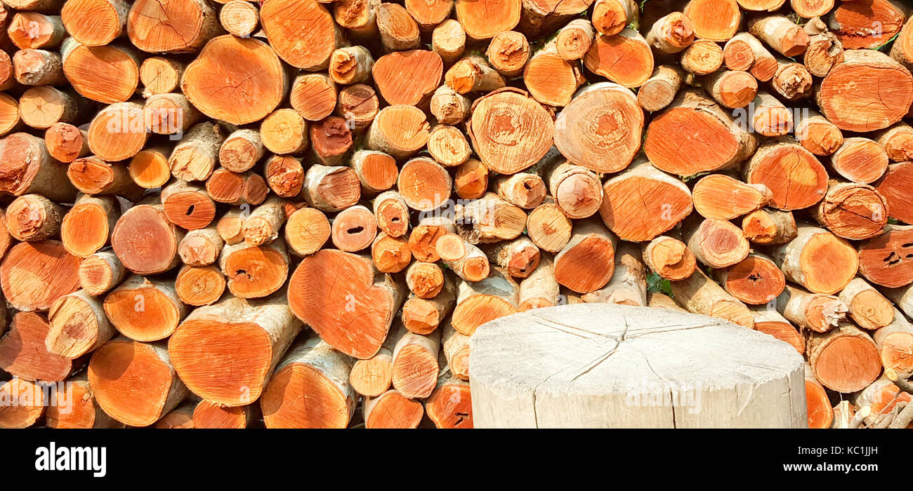 Fond de bois naturel. bois empilés et préparés pour la cuisson et l'hiver. Banque D'Images