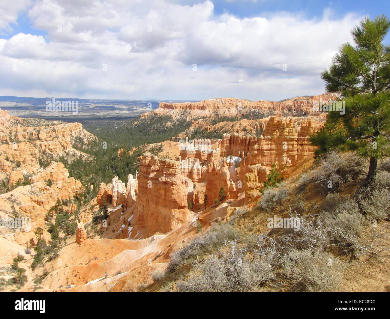Ouvrez la vue sur l'horizon canyon orange Banque D'Images