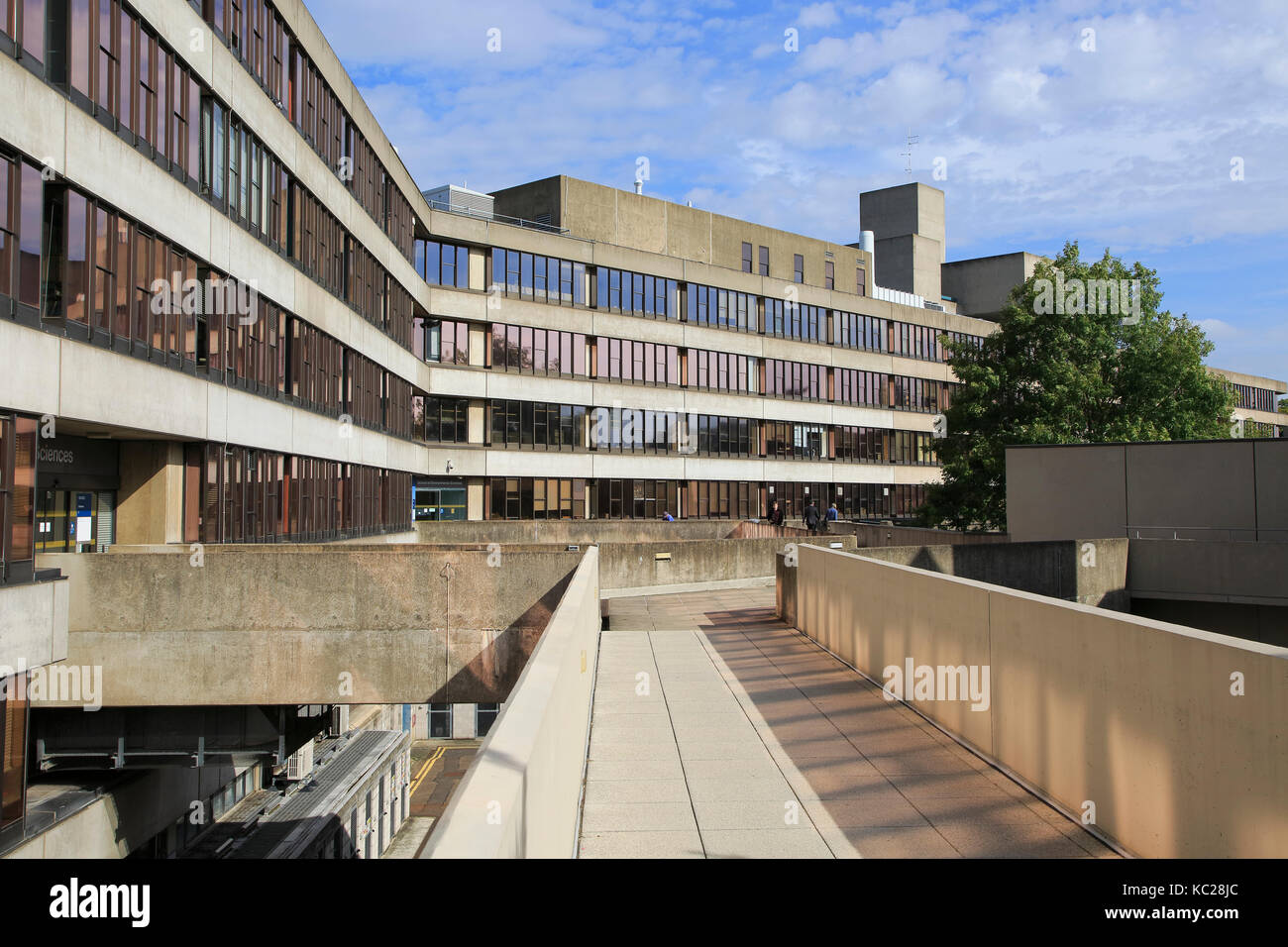Les bâtiments d'architecture moderne campus de l'Université d'East Anglia, Norwich, Norfolk, England, UK Banque D'Images