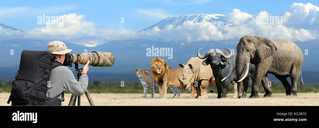 Photographe professionnel sur Safari. gros cinq africains Banque D'Images