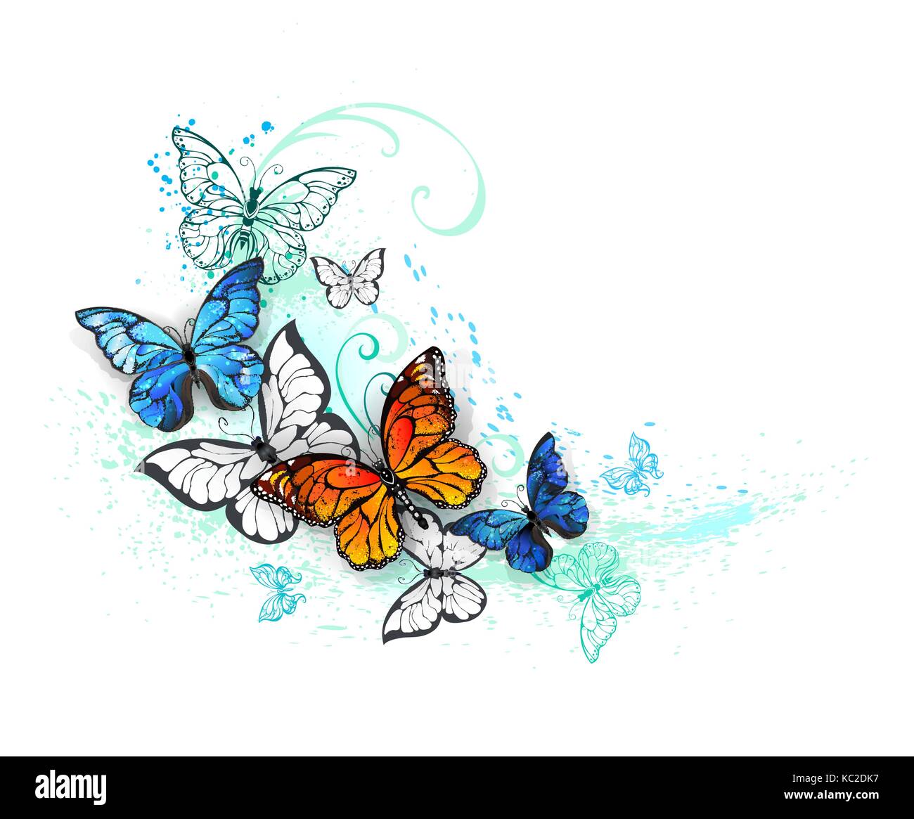 Papillons réalistes, blue morpho et monarques orange sur un fond blanc, peint en vert et bleu de la peinture. morpho. papillon monarque. wit design Illustration de Vecteur