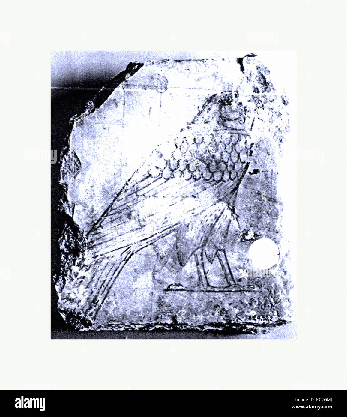 Ostracon avec l'image d'un Pèlerin, ca. 1479-1458 av. Banque D'Images