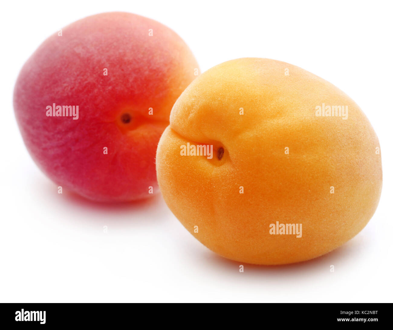 Abricots frais sur fond blanc Banque D'Images