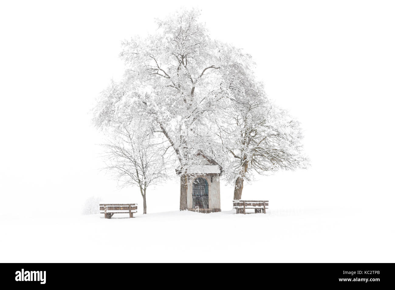 L'Europe, Italie, Trentin-Haut-Adige. La madone brusada chapelle en prairies de vallée de non dans une journée d'hiver. Banque D'Images