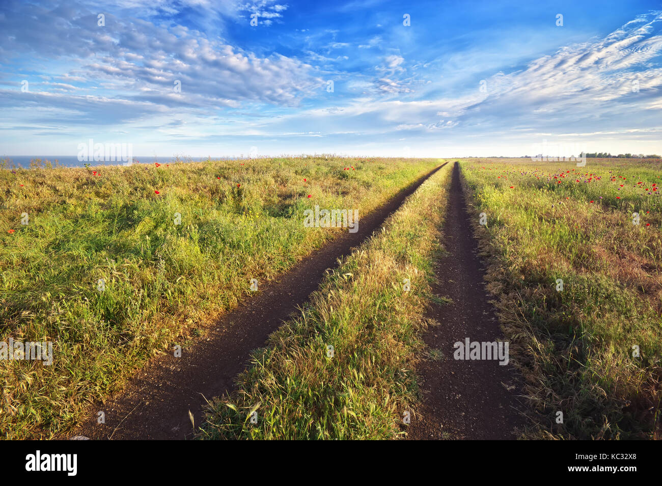 Route de campagne printemps. la nature de la composition. Banque D'Images