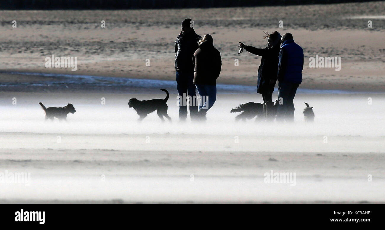 Les promeneurs de chiens sur une plage de tynemouth exposée au vent comme des vents violents balaient l'ensemble du Royaume-Uni. Banque D'Images
