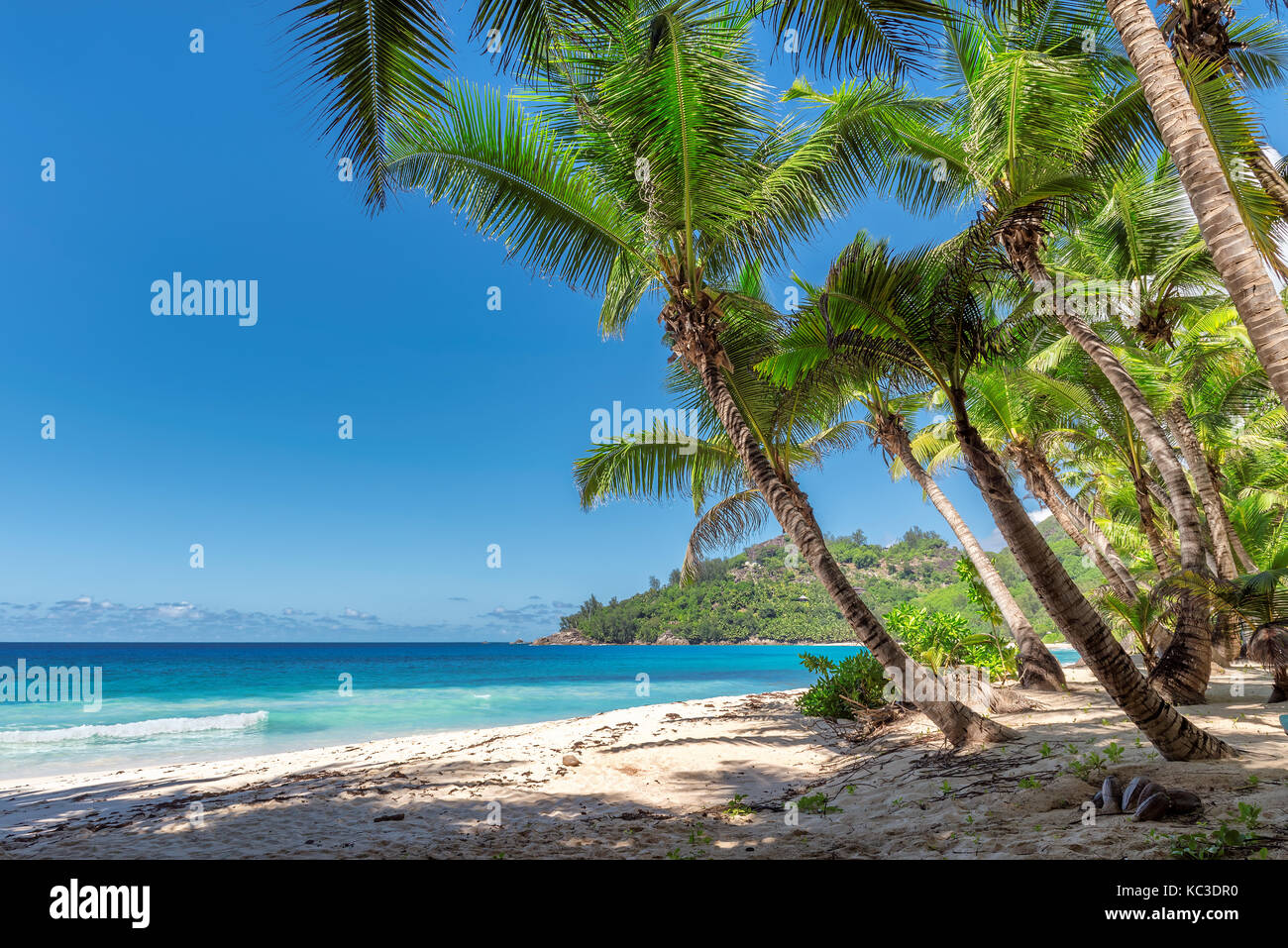 Paysage de l'île tropicale paradisiaque. Maison de vacances et locations de concept. Banque D'Images
