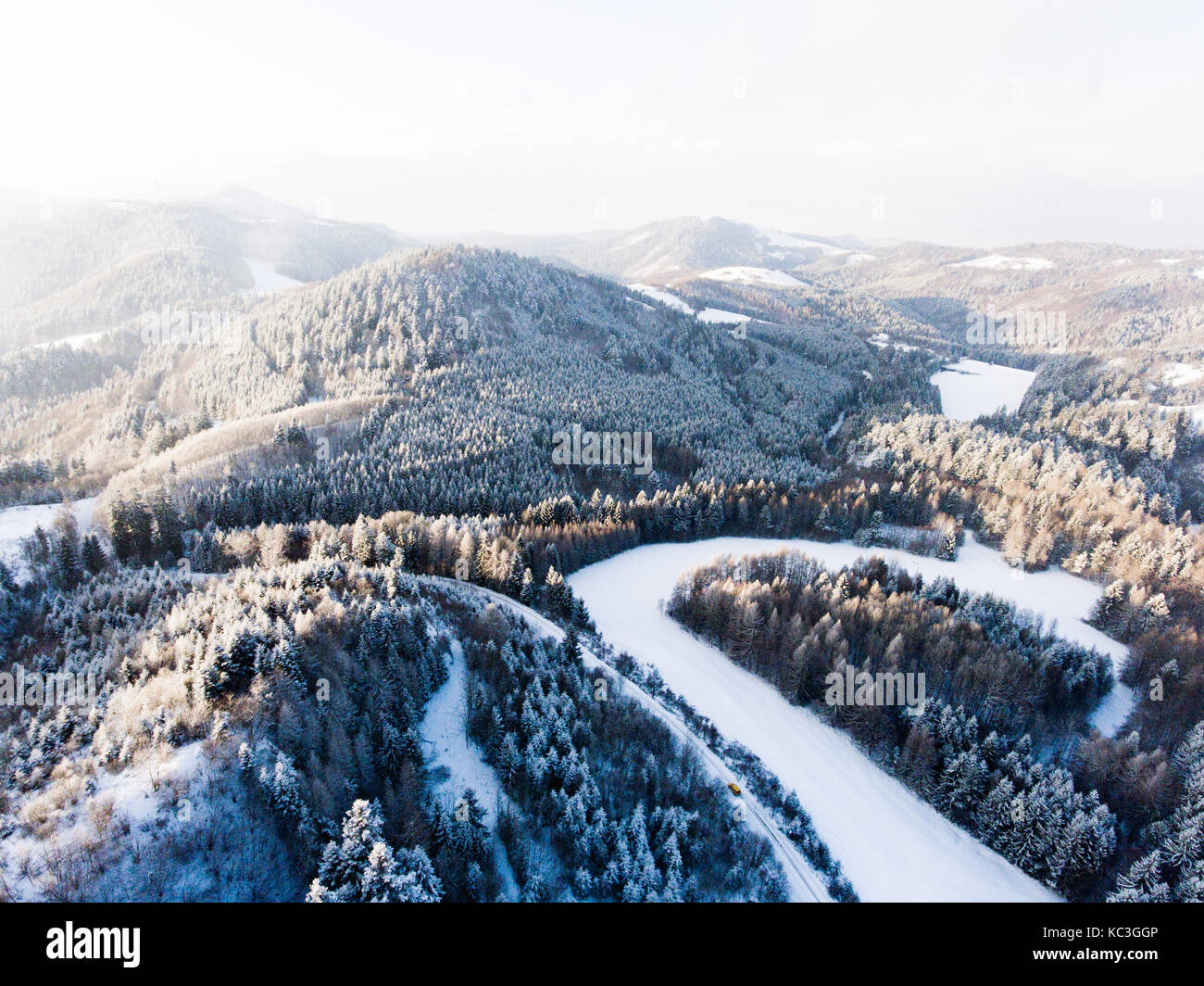 Vue aérienne de la forêt de conifères en hiver. Banque D'Images