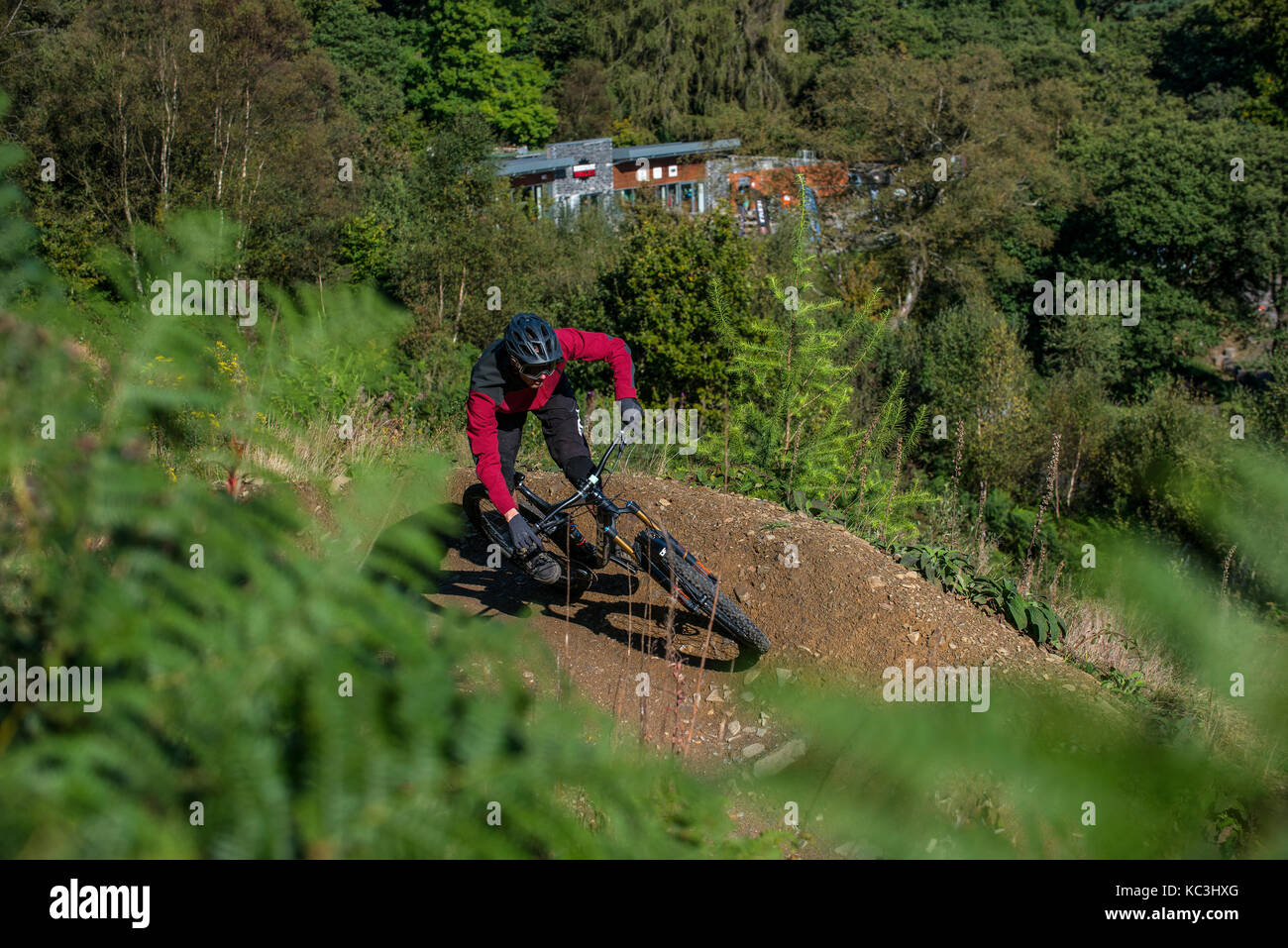 Un vélo de montagne monte un sentier au Bikepark de galles près de Merthyr Tydfil. Banque D'Images