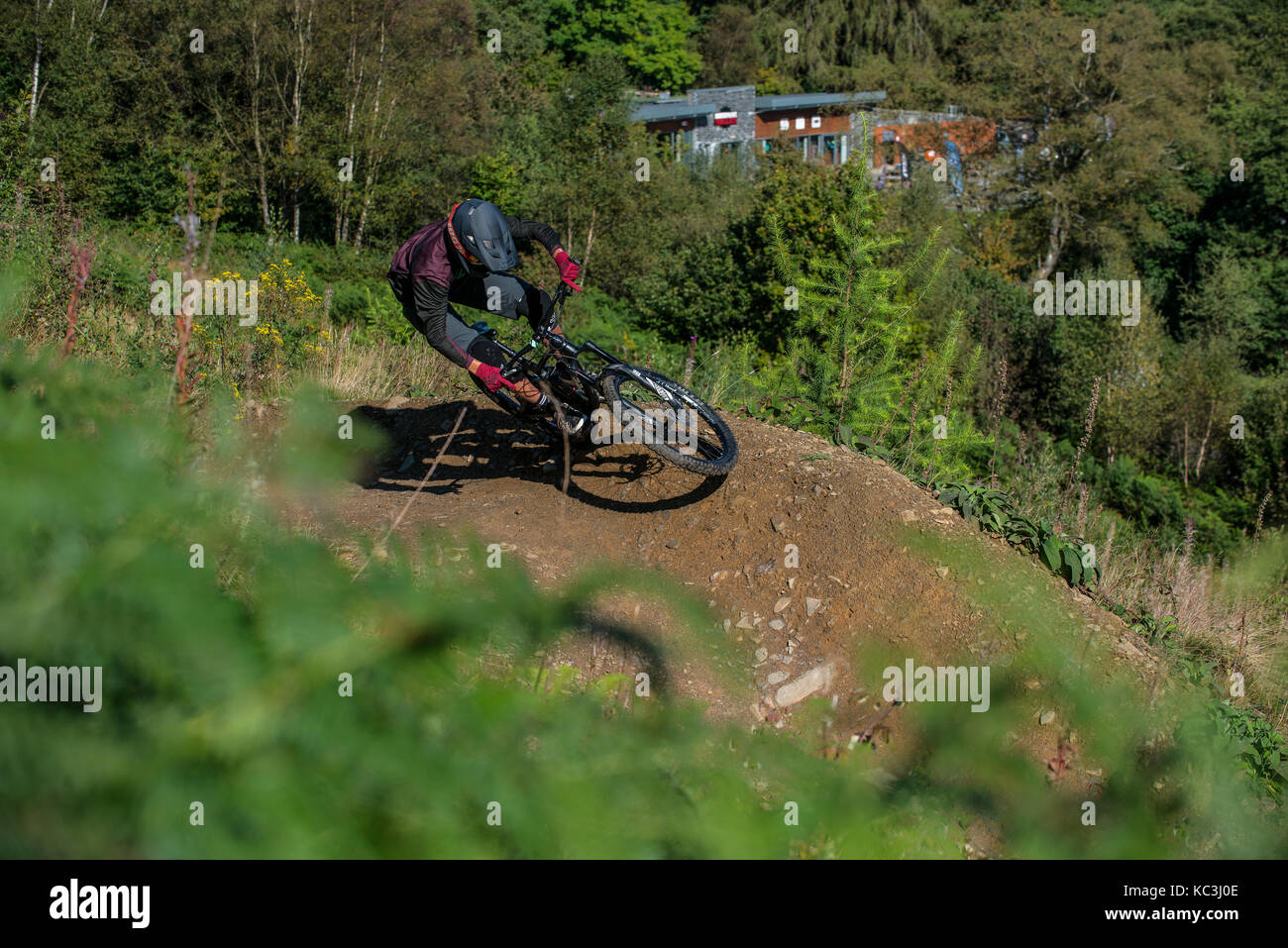 Un vélo de montagne monte un sentier au Bikepark de galles près de Merthyr Tydfil. Banque D'Images