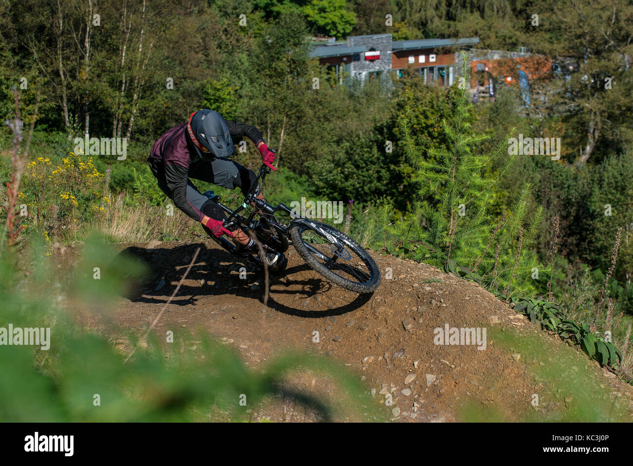 Un vélo de montagne monte un sentier au Bikepark de galles près de Merthyr Tydfil. Banque D'Images