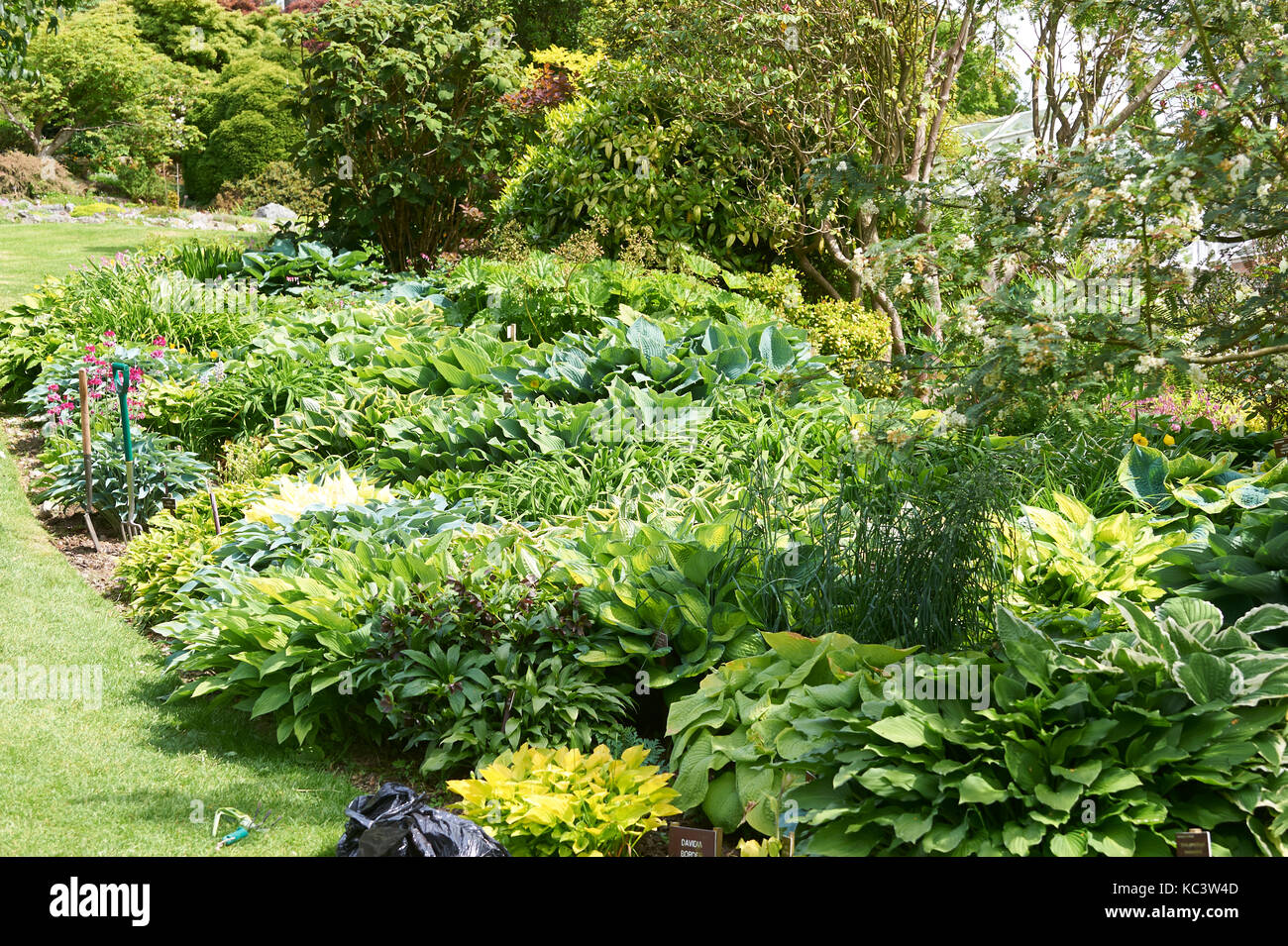 Dans holdhird les frontières officielles de beaux jardins dans le lake district national par, ssi, UK, FR, Angleterre, Grande-Bretagne greta Banque D'Images