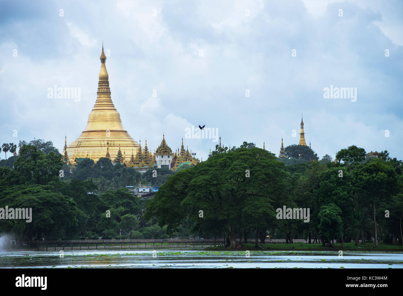 Golden Shwedagon Pagoda, Yangon, Myanmar (Birmanie) Banque D'Images