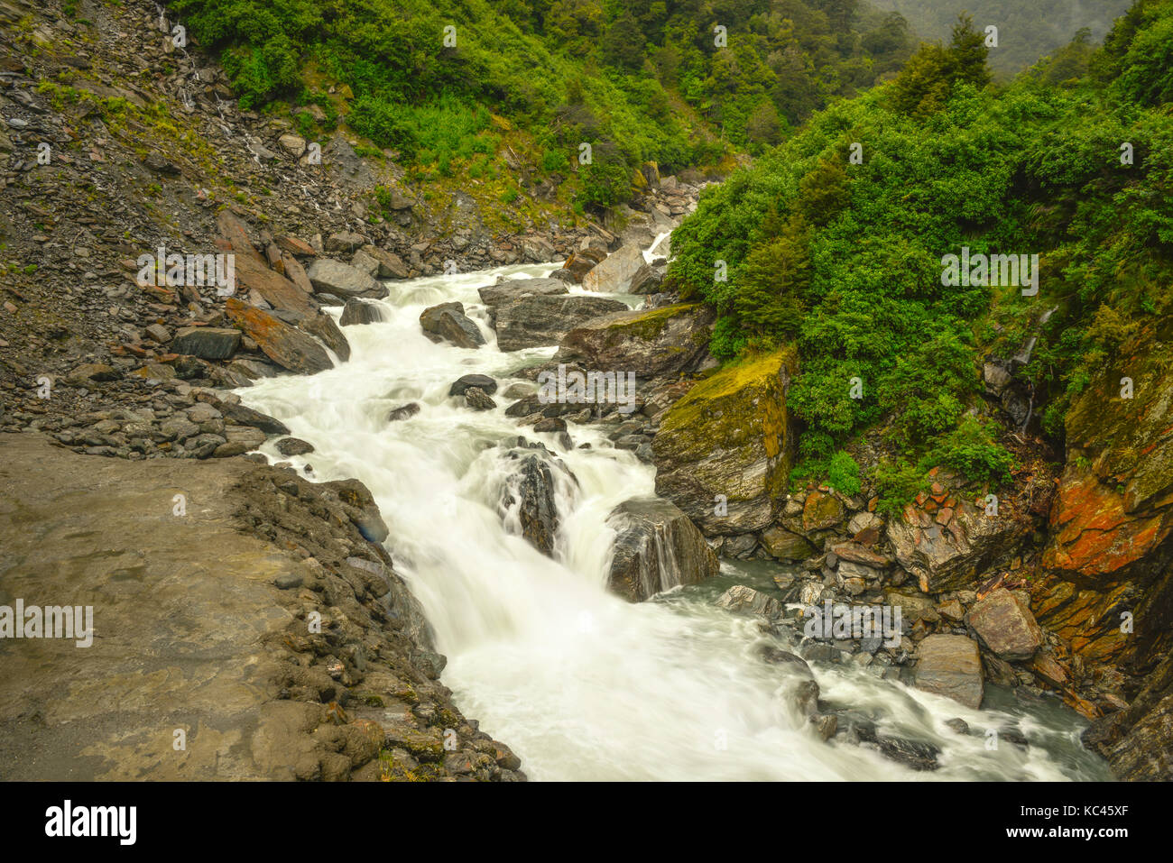 Dans la rivière alpine haast pass, dans l'île sud de la Nouvelle-Zélande. Banque D'Images
