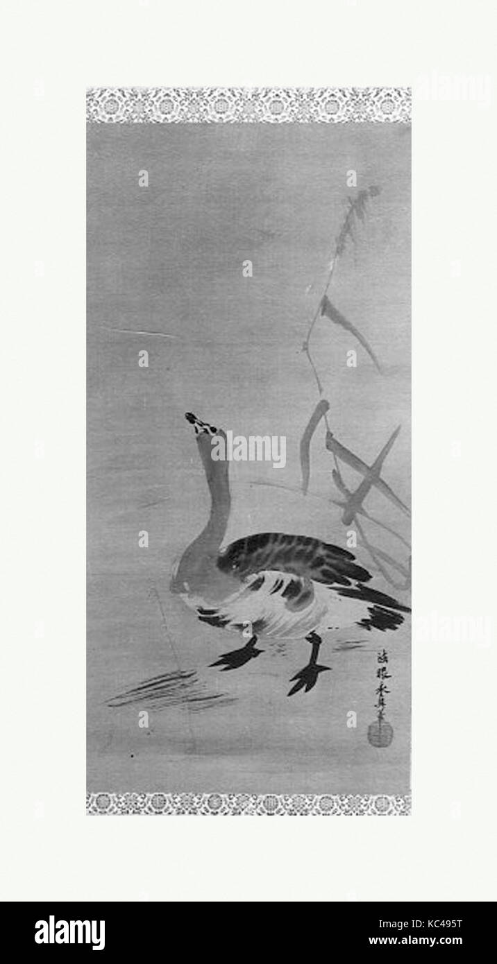 Wild Goose et de roseaux, de la période Edo (1615-1868), le Japon, la pendaison ; faites défiler l'encre sur soie, 32 1/4 x 16 in. (81,9 x 40,6 cm), Peintures Banque D'Images