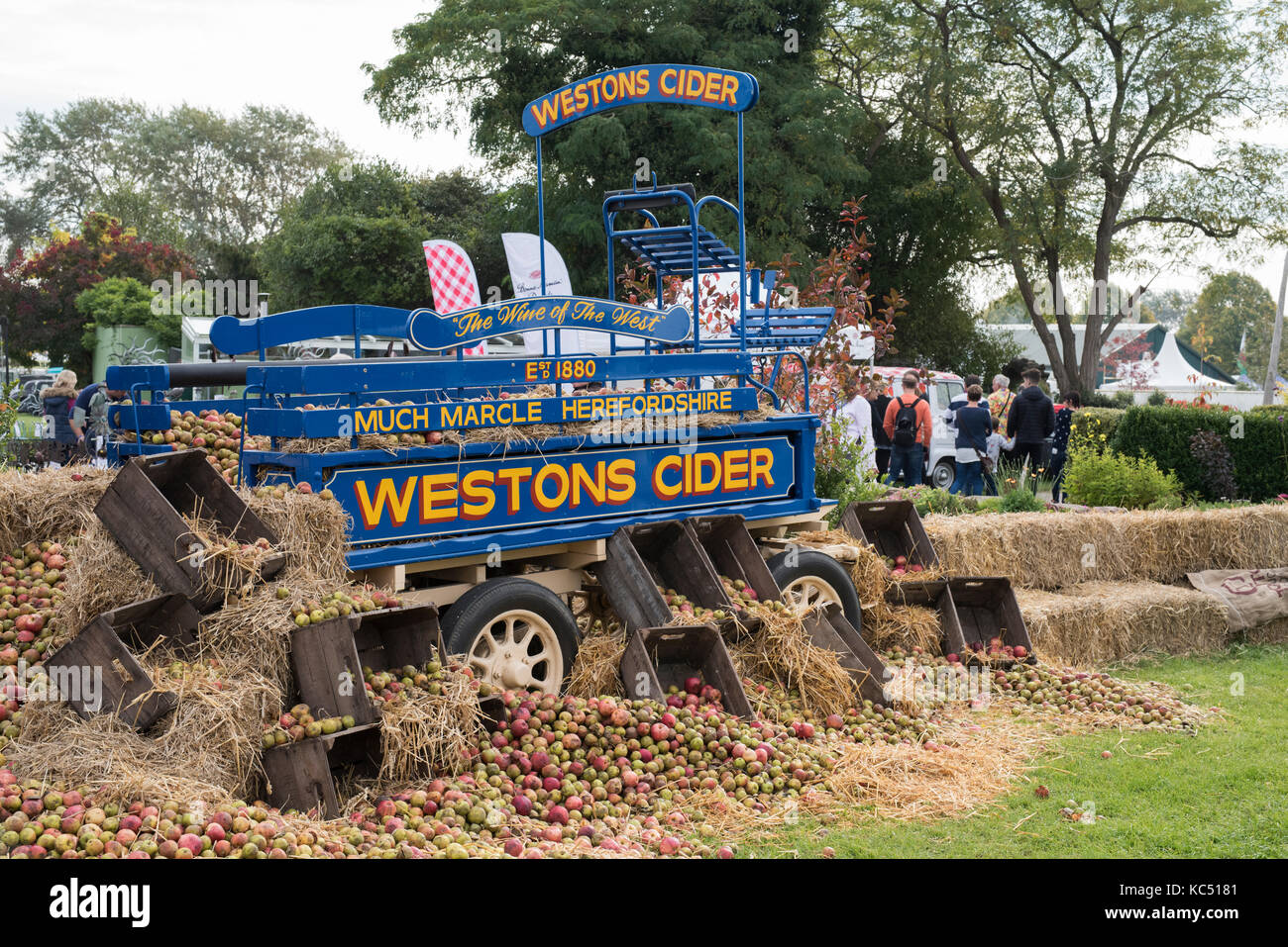 Panier en bois Cidre Weston et les pommes à l'automne de Malvern, Worcestershire, Royaume-Uni afficher Banque D'Images